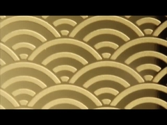 금 장미 금 거울 304 에치 스레인 스틸 시트