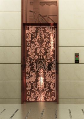 좋은 가격 금속 스틸 Gua Sha 엘리베이터 승객 엘리베이터 컨트롤러의 가격 온라인으로